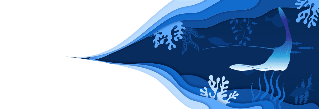 local google ads management company Stingray Branding