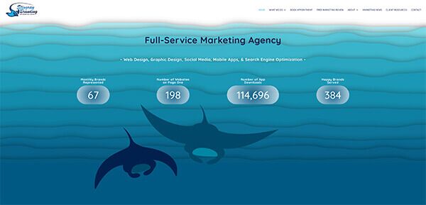 stingray branding new website, local website design company